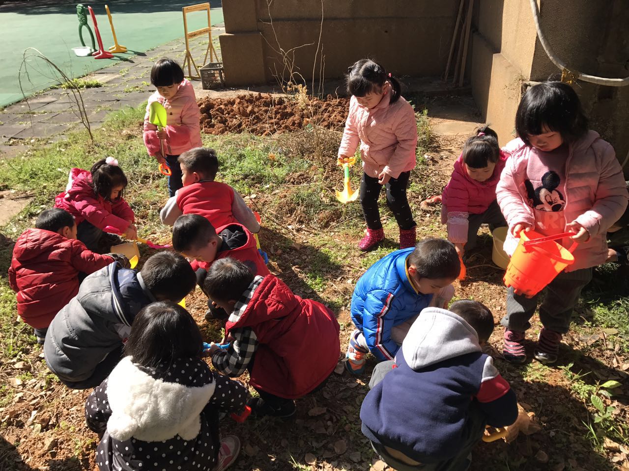 2017年财大幼儿园"呵护绿色,美化校园 植树节活动